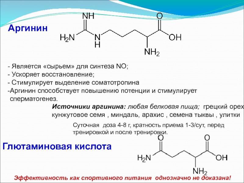 Аргинин - важнейшая аминокислота в организме | университетская клиника