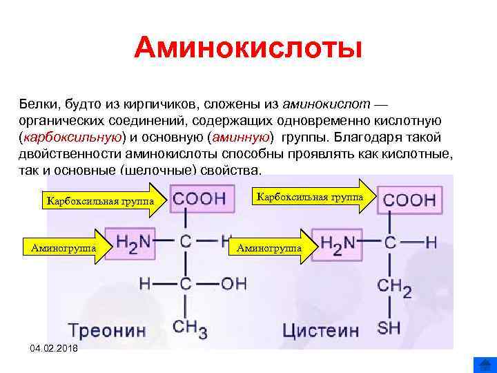 Аминокислоты польза или вред. аминокислоты: вред и польза