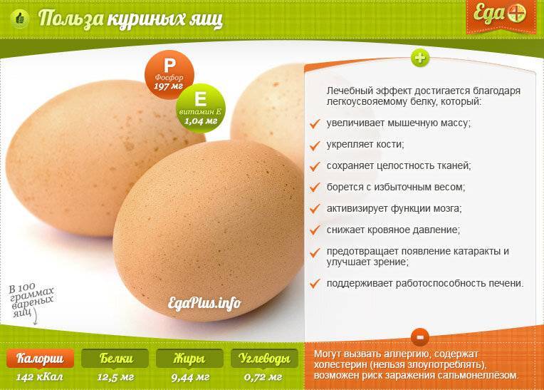 Описание полезных свойств яиц
