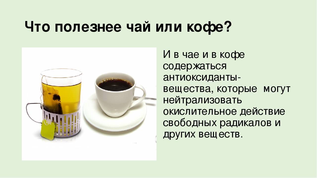 Что полезнее — чай или кофе? 6 фактов о чае, которых вы не знали - hi-news.ru