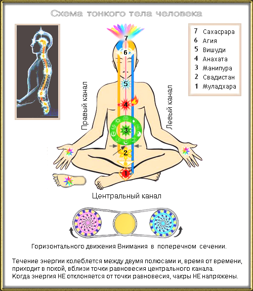Потоки через тело. Схема тонкого тела Сахаджа йога. Чакры энергетические центры тонких тел. Энергетическая система человека и чакры Сахаджа йога. Энергетические+чакры+человека+схема.