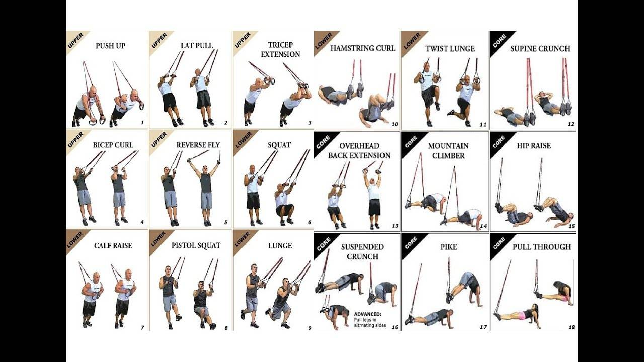 Trx script. TRX петли тренировки для мужчин. Комплекс упражнений на TRX петлях. Петли трх упражнения. Петли TRX упражнения для мужчин комплекс упражнений.