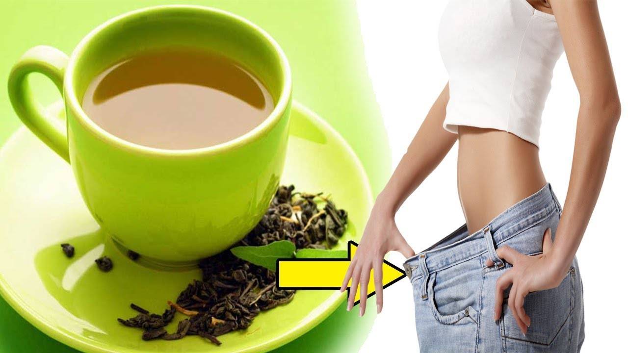 Как пить зеленый чай для похудения, помогает ли зеленый чай похудеть и как его выбрать