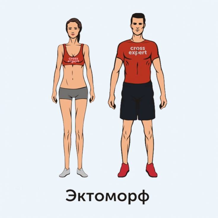 Эктоморф, мезоморф, эндоморф как определить: программы тренировок и питание для астеника, нормостеника и гиперстеника. типы конституции