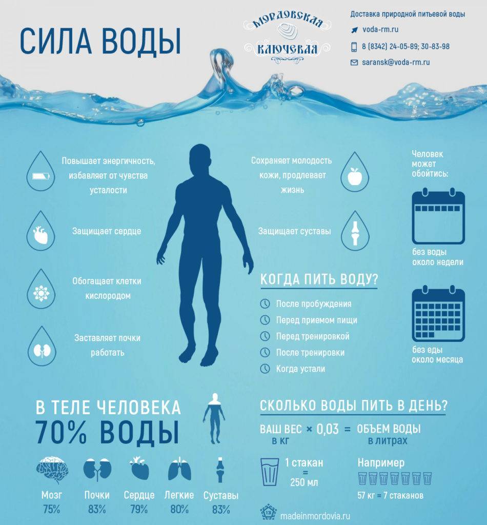 Как правильно пить воду в течение дня, чтобы похудеть (таблица): преимущества и недостатки питьевой диеты