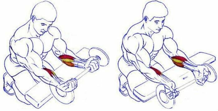 Упражнения на трицепс с гантелями: как накачать мышцы быстро | playboy
