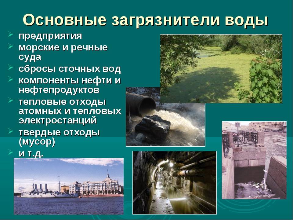 Экологические проблемы реки амур и пути их решения: загрязнение вод, золотодобыча, пластиковый мусор