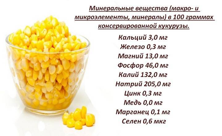 Консервированная кукуруза - польза и вред для организма мужчины и женщины. полезные свойства и противопоказания