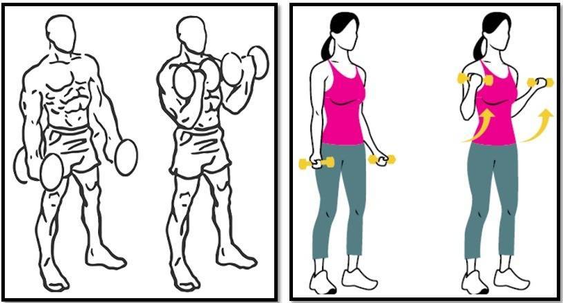 Как убрать лишний жир с рук и плеч в домашних условиях упражнениями? почему жир откладывается на руках? как легко и быстро убрать жир с рук и плеч: тренировка для рук, упражнения, операция