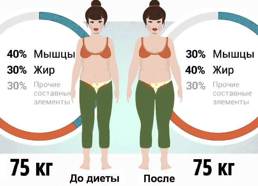 Распределения жира: типы жировых отложений на животе у мужчин и женщин | блог expert clinics