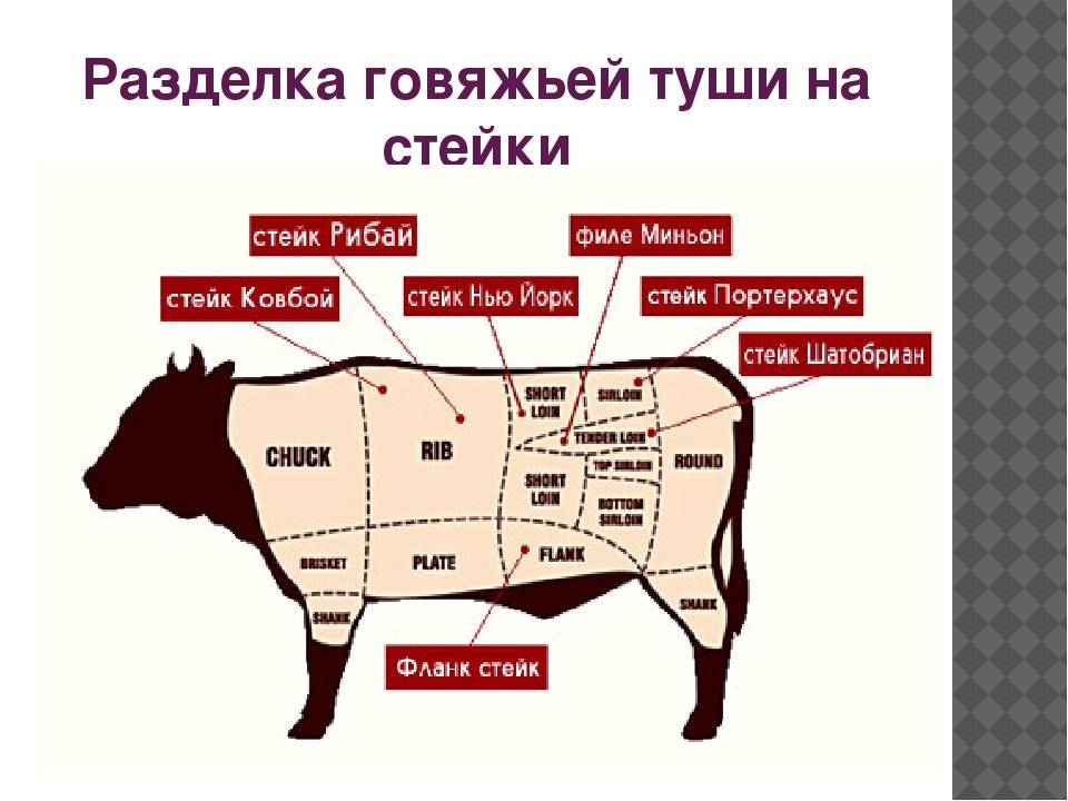 Мясо говядины название частей с фото