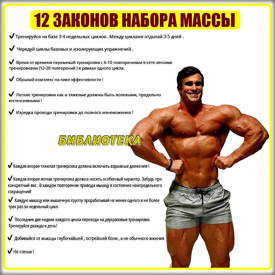 Общие принципы бодибилдинга
