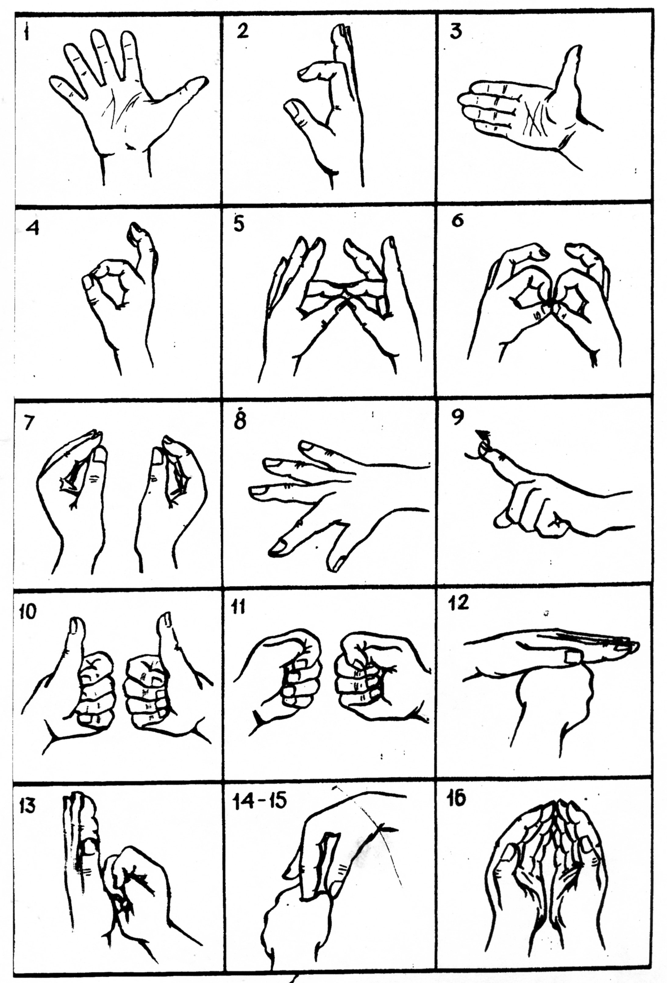 Упражнения пальцев для мозга. Разминочные упражнения для кистей и пальцев рук. Нейропсихологические упражнения для пальцев. Пальчиковые упражнения гимнастика для пальцев. Комплекс упражнений для пальцев рук.