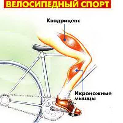 Как тренироваться на велосипеде