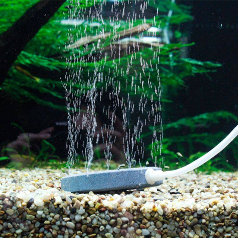Почему пенится вода в новом аквариуме?