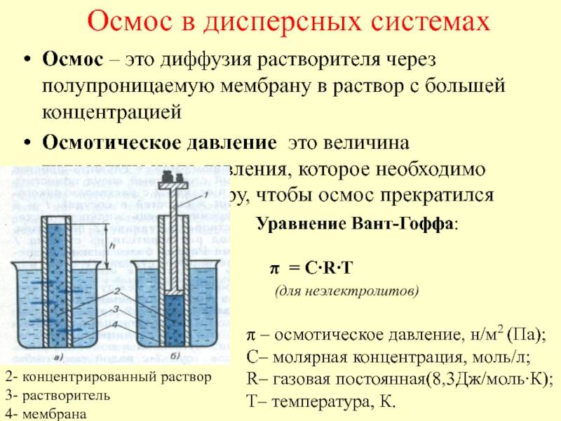 Вода и электролиты: обоснование формулы вант-гоффа