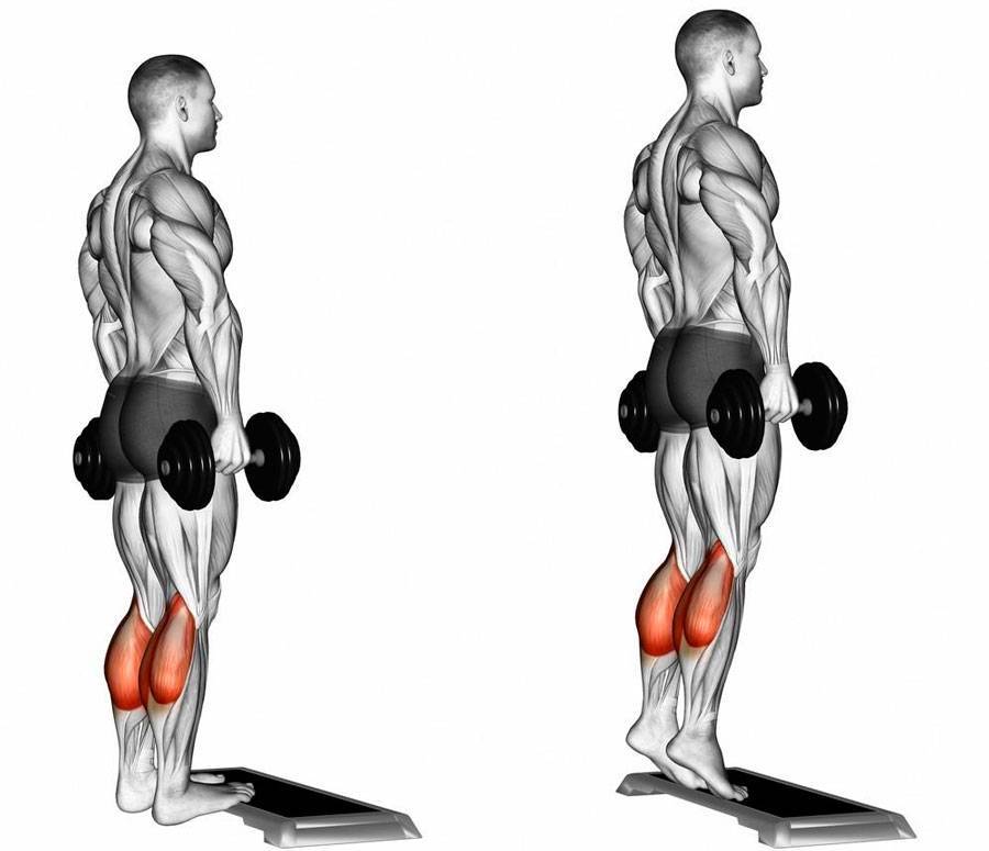 Укрепляем стопы и голеностопы: эффективный комплекс упражнений - нолтрекс.