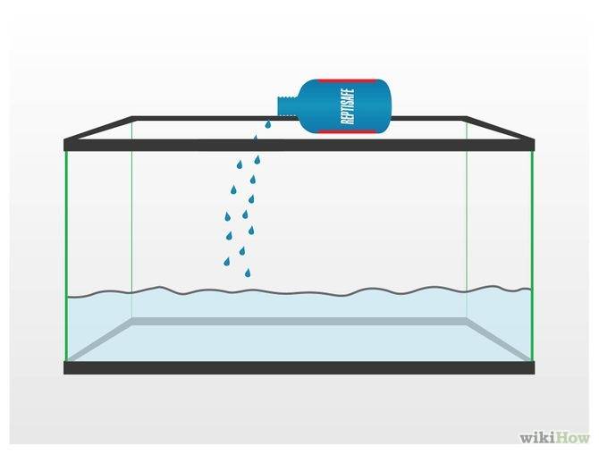 Как достичь кристально чистой воды в аквариуме » домашний аквариум