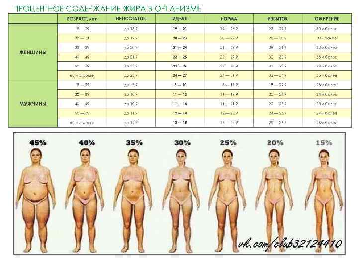 Процент жира в организме: норма подкожных и висцеральных отложений для женщин и мужчин
