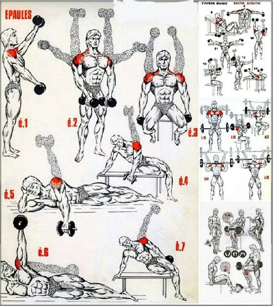 Особенности базовых и изолирующих упражнений для плеч