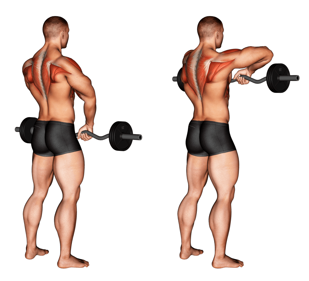 Как сделать идеальные плечи с помощью протяжки со штангой стоя: правильная техника и результаты