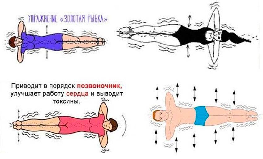 Упражнение «золотая рыбка» для позвоночника: польза и техника | irksportmol.ru