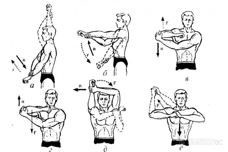 Стратегии изменения упражнений для предотвращения боли и тренировки при боли в плече | fpa
