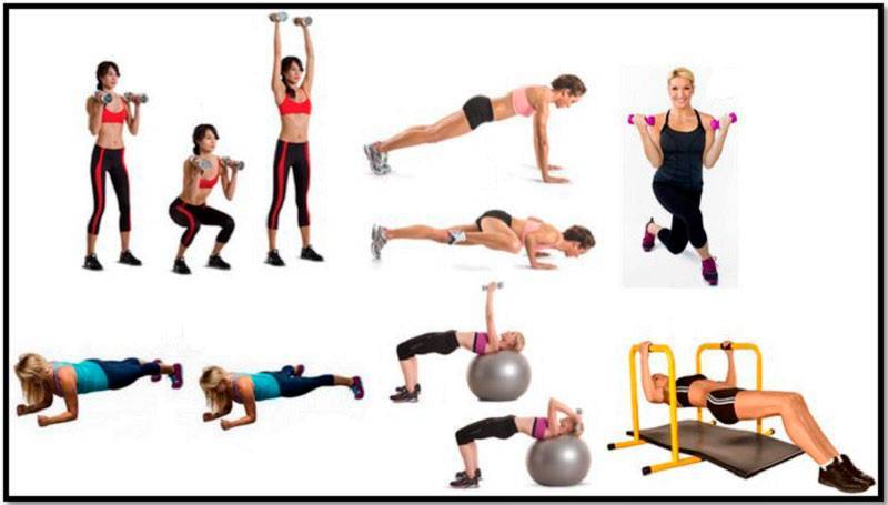 Тренировка для девушек круговая на пресс, верх тела, все группы мышц, что это такое, силовой тренинг для женщин после месячных
