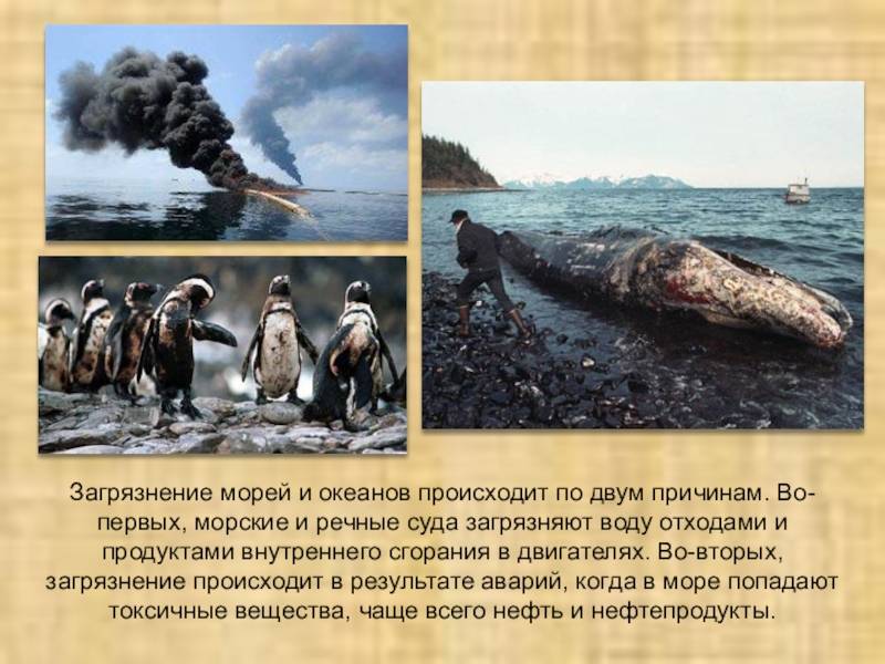 Самые грязные моря в мире | статьи о воде - водабриз.ру