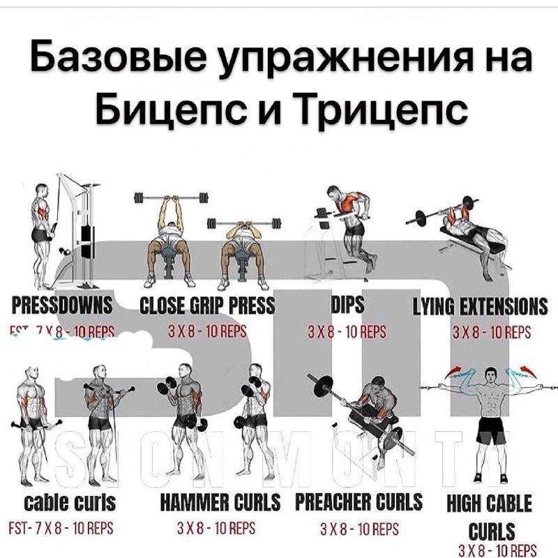 Упражнения со штангой для мужчин и женщин. программы тренировок