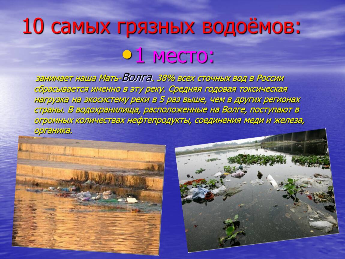 Чем загрязнены берега россии: итоги пластиквотчинга