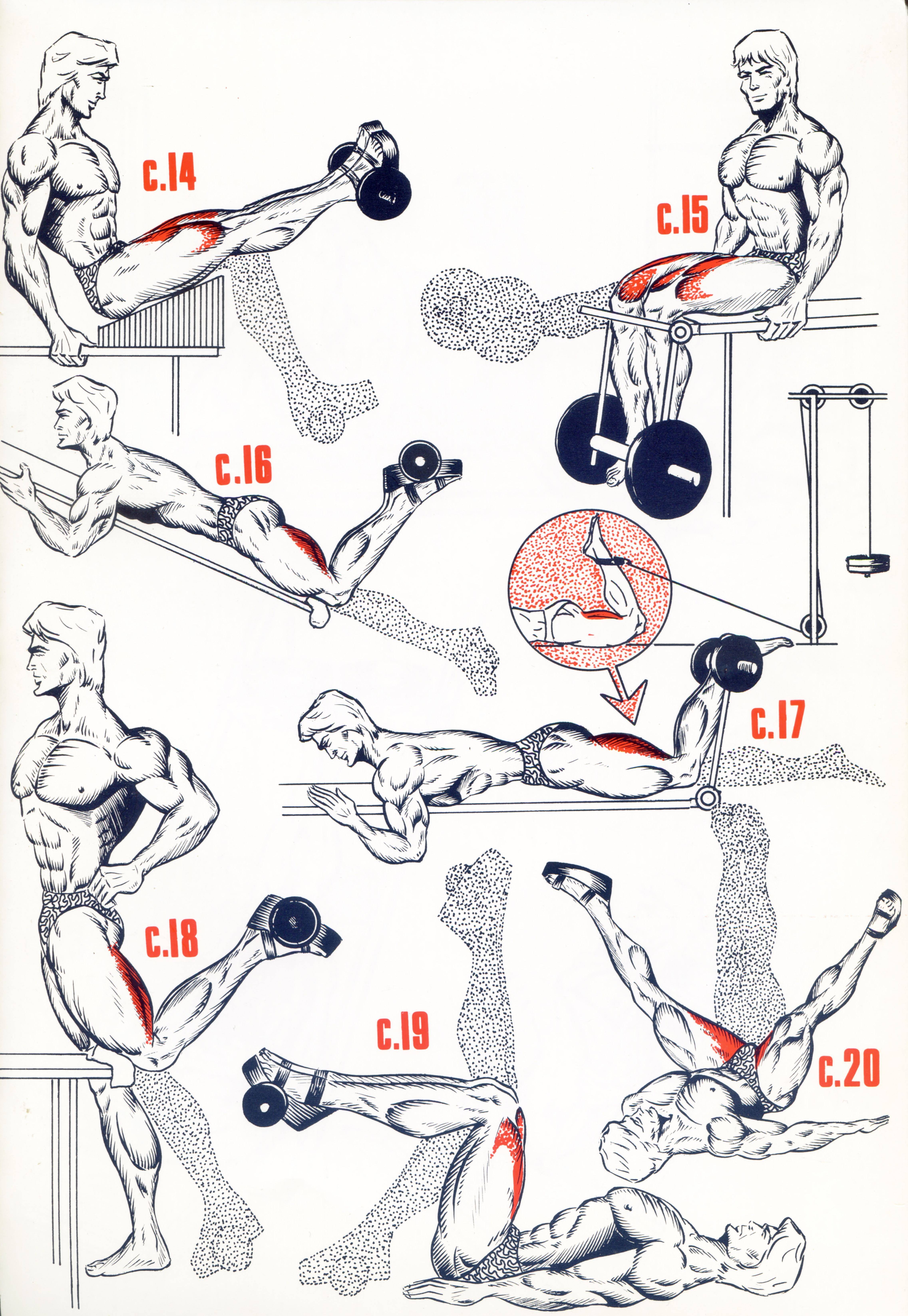 Как накачать ноги: 12 шагов (с иллюстрациями)