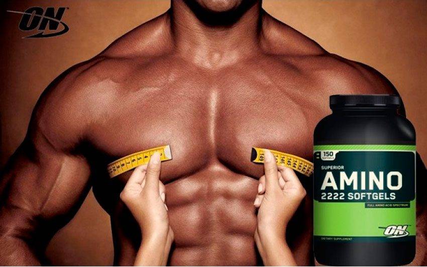 Какие самые важные аминокислоты для роста мышц и набора массы