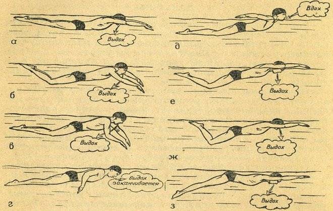 Как плавать стоя: 11 шагов (с иллюстрациями) - wikihow