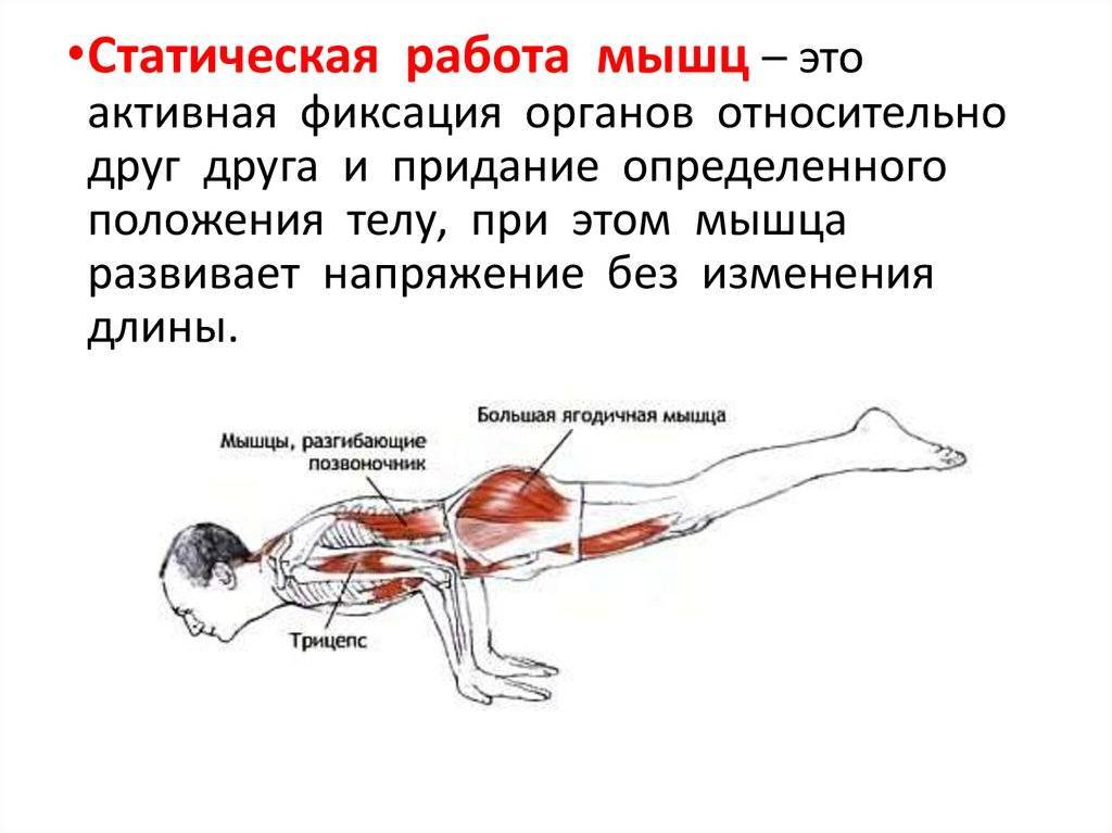 Есть ли у вас перенапряжение мышц: проверьте