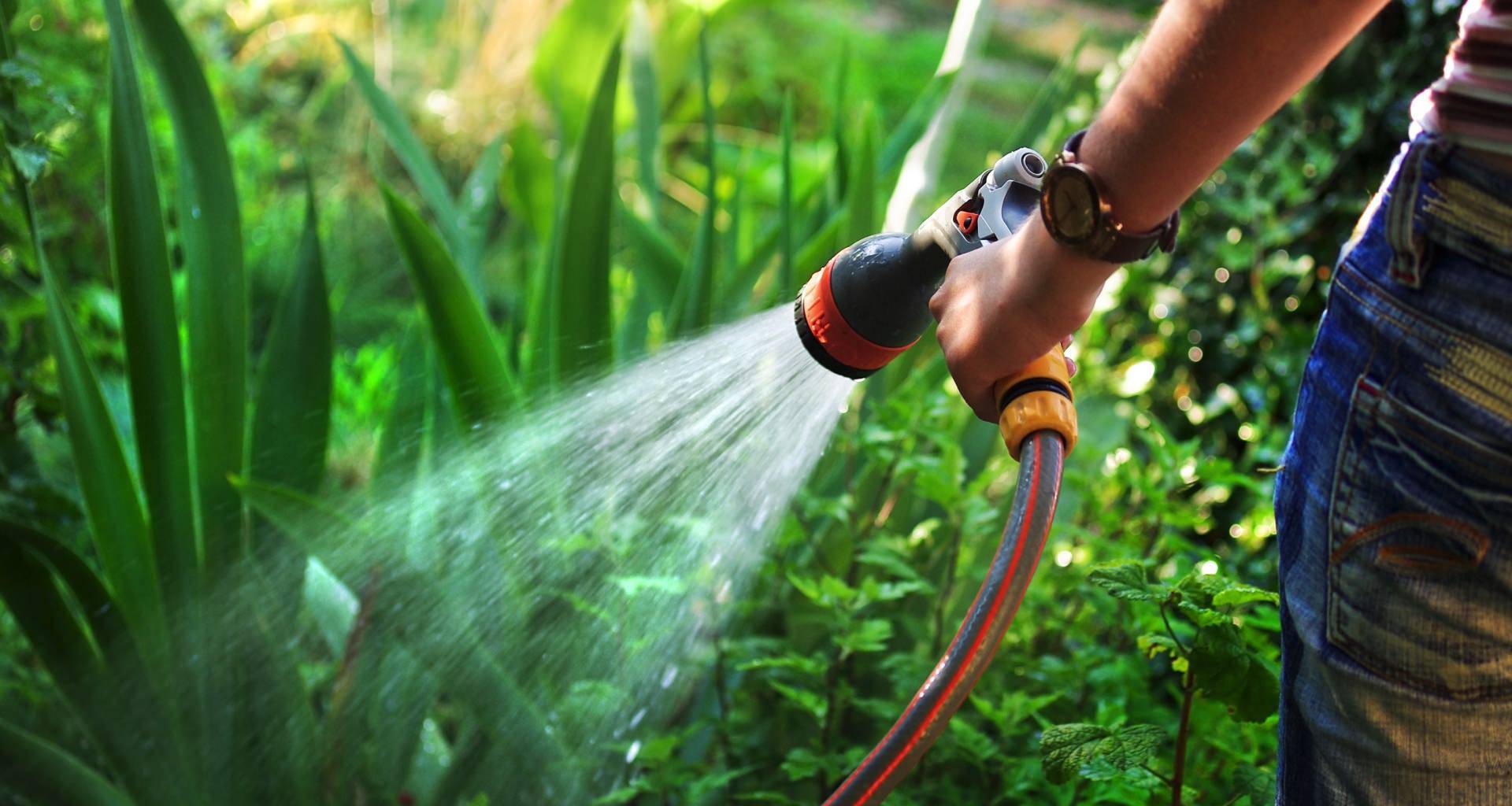 Можно ли поливать водой из бассейна огород, деревья или газон
можно ли поливать водой из бассейна огород, деревья или газон