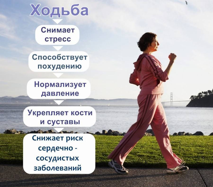 Быстрая ходьба - одна из лучших кардио тренировок – lifekorea.ru