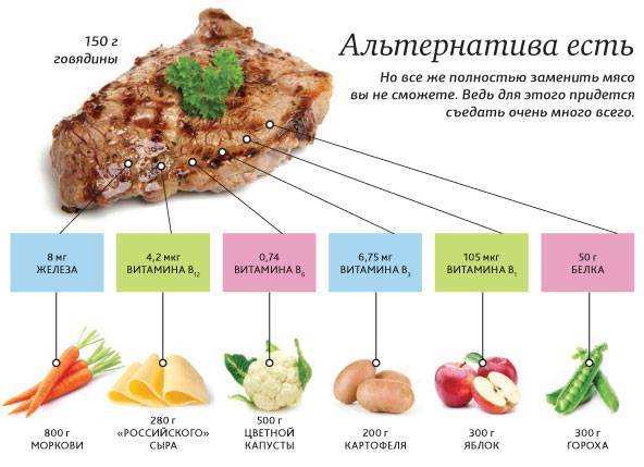 Список продуктов, содержих много белка для мясоедов и вегетарианцев