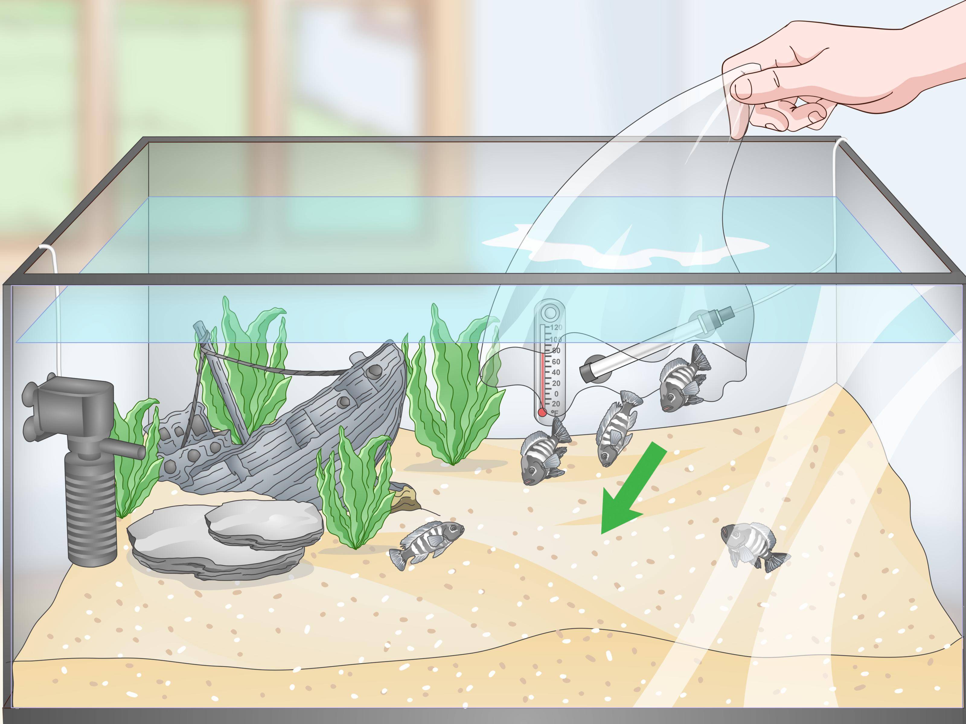 Как поменять воду в аквариуме: пошаговые инструкции и советы!