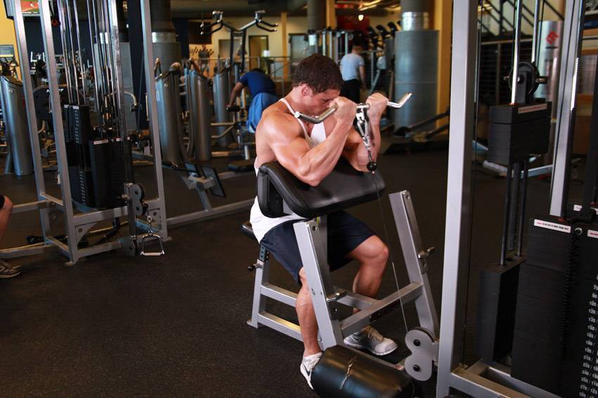 Cable biceps Curl