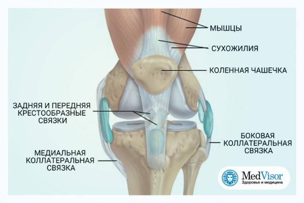 Повреждение коленной связки симптомы. Коленный сустав строение мениск. Поперечная связка коленного сустава анатомия. Разрыв связок коленного сустава ПКС операция. Боковые связки надколенника.