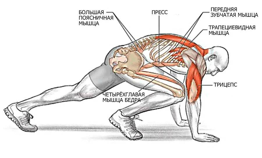 Как выполнять упражнение скалолаз, с фото, видео, какие мышцы работают