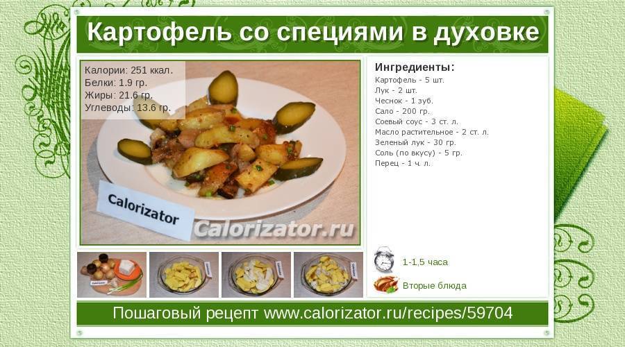 Картофель сырой, отварной, фри, жареный, запеченный: калорийность на 100 гр
