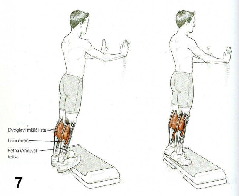 Как накачать икры ➔ анатомия икроножных мышц и лучшие упражнения