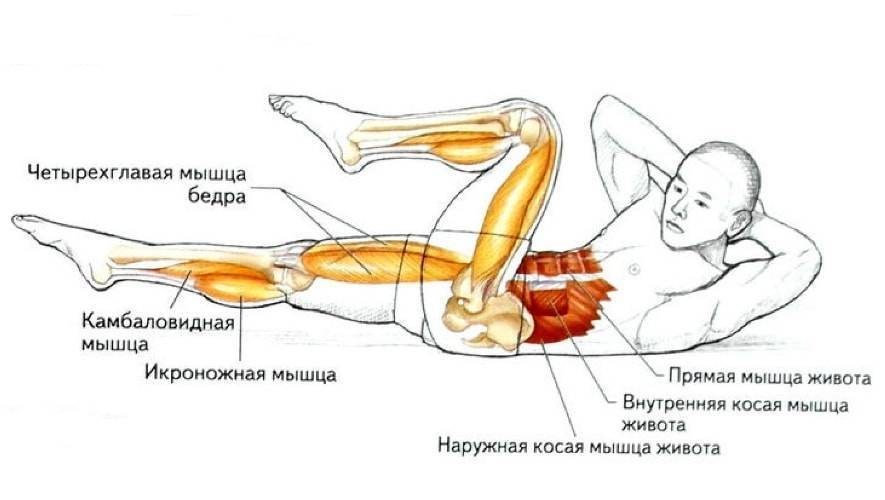 Боковые скручивания на пресс: косые, диагональные, русские, техника, девушек, делать, мужчин, мышцы, боковой, лежа, полулежа, скамье