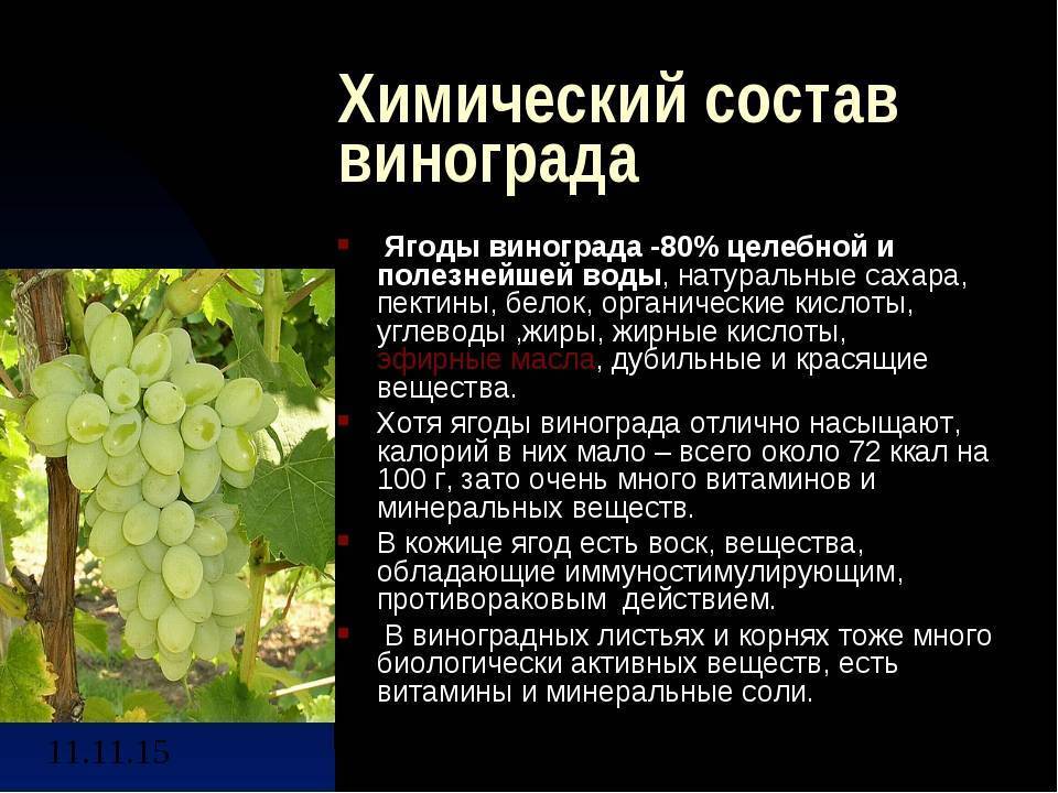 Виноград: польза и вред, калорийность по сортам