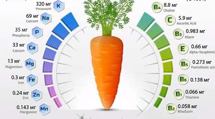 Калорийность морковь. химический состав и пищевая ценность.