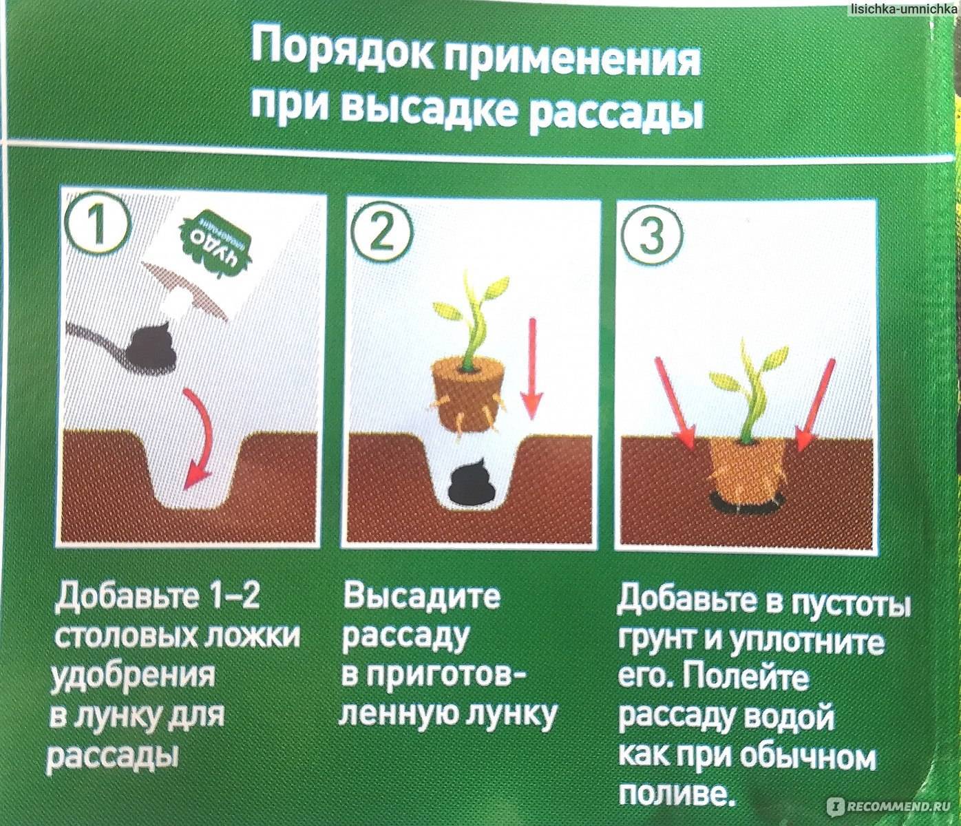 Как поливать цветы и комнатные растения