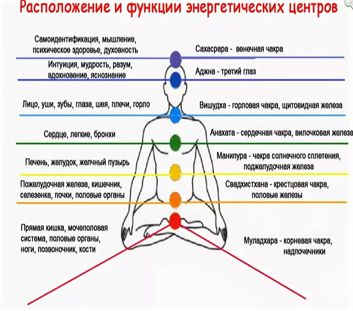 Где находится чакра муладхара у женщин фото