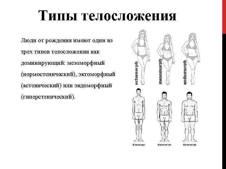 Типы телосложения (соматотипы)